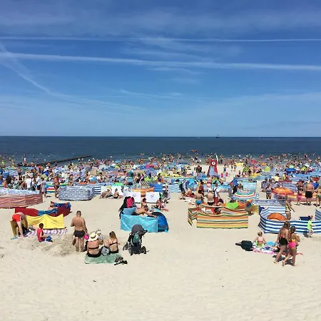 Goscinne U Rodziny * ウェバ