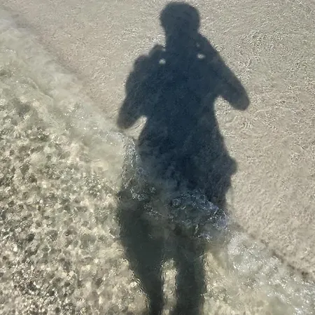 Goscinne U Rodziny